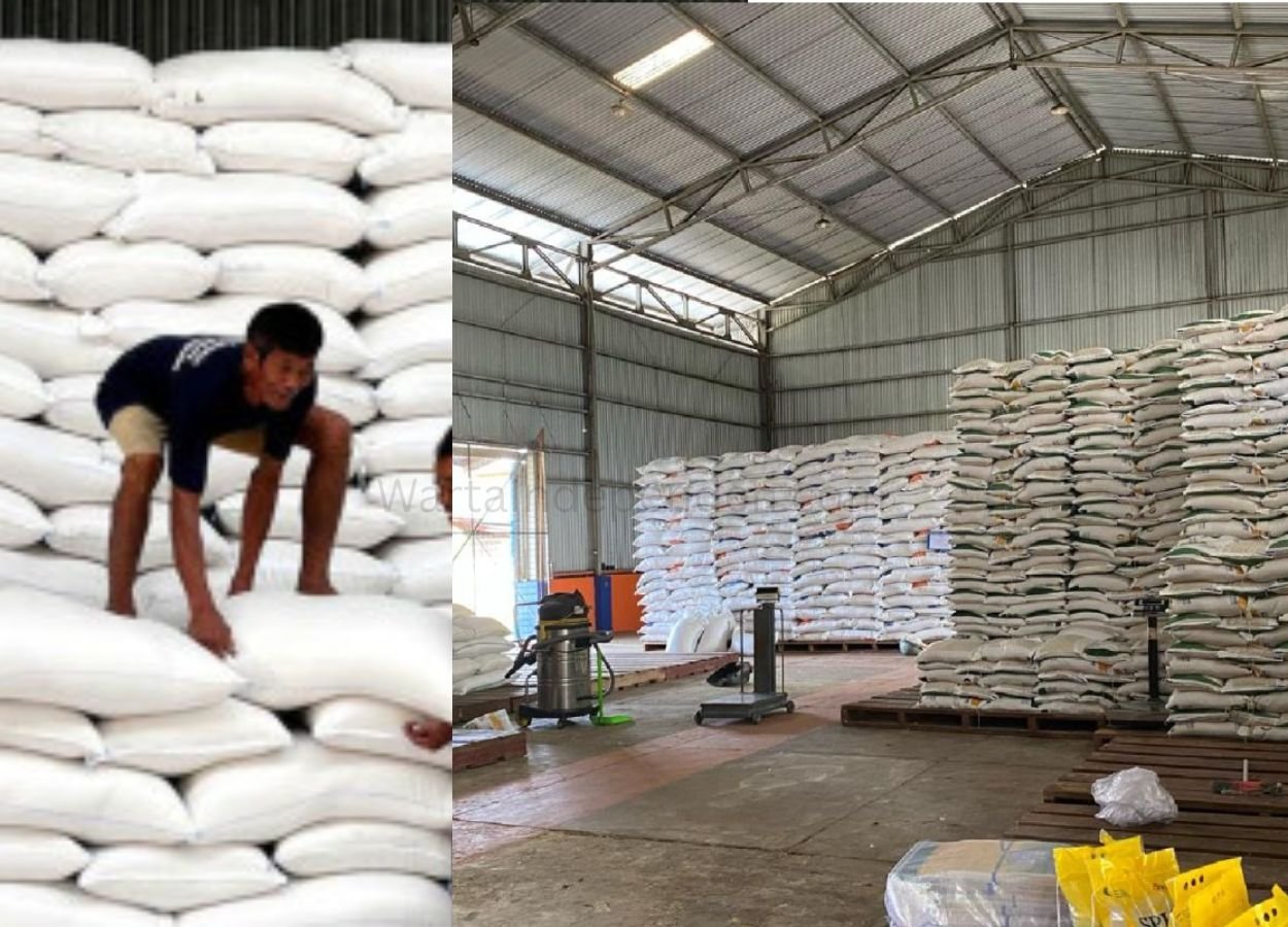 Bulog Minta Maaf Usai Hama Gudang Masuk Permukiman, Penanganan Dipercepat - WartaIndependen.com