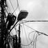 Kabel Semrawut Lima Tahun Dikeluhkan Warga Kuningan Barat - WartaIndependen.com
